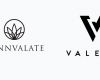 Valens Secures CA$40M Via Credit Facility, Builds Australia Enterprise